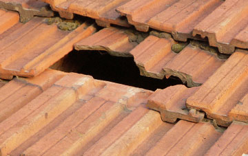 roof repair Foodieash, Fife